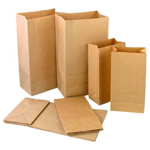 #6 Paper Bag (500pcs)